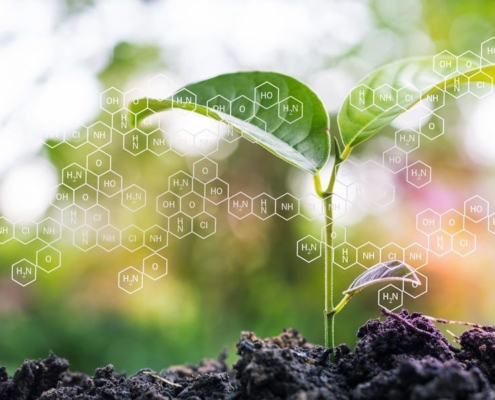 Green Hydrogen Energy Climate Proposal
