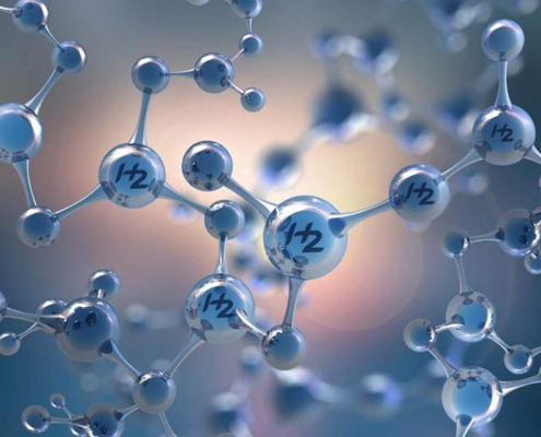 The Role of the Hydrogen Network