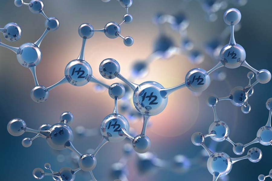 The Role of the Hydrogen Network