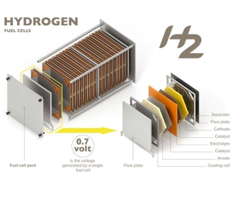 Hydrogen Fuel Cells