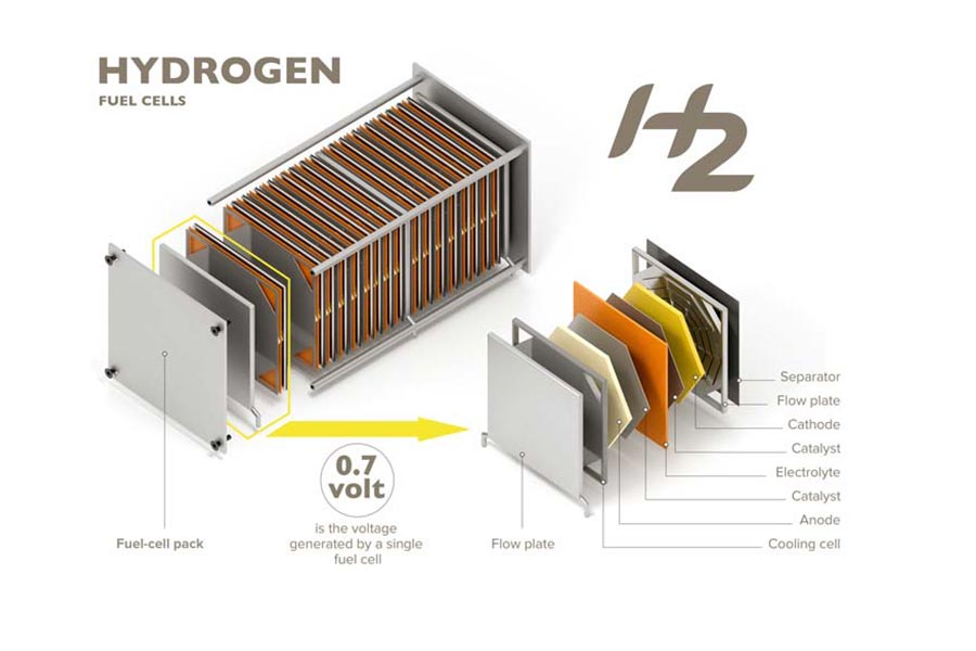 Hydrogen Fuel Cells