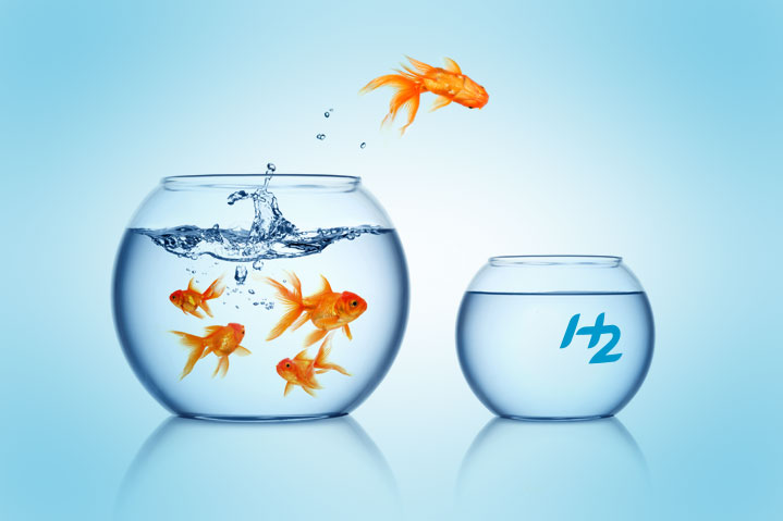 Why Industries are Jumping to Light-scale Hydrogen Systems